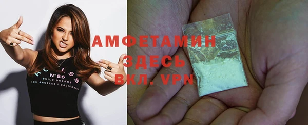 молекула духа Алексин