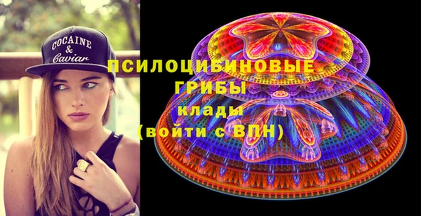 стаф Алексеевка