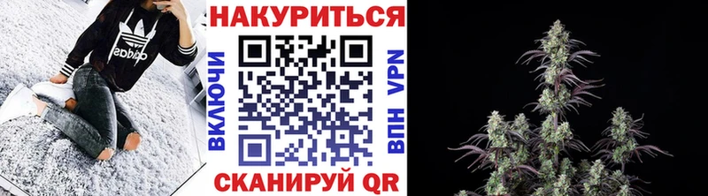 Бошки марихуана планчик  Астрахань 